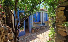 Casa Olive
